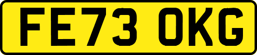 FE73OKG