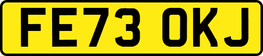 FE73OKJ