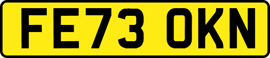 FE73OKN
