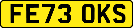 FE73OKS