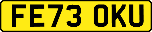 FE73OKU