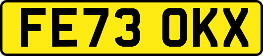 FE73OKX