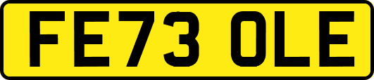 FE73OLE