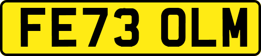 FE73OLM