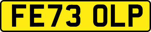 FE73OLP