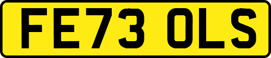 FE73OLS