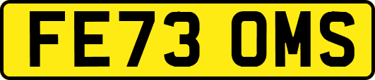 FE73OMS