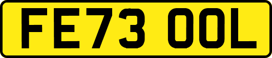 FE73OOL