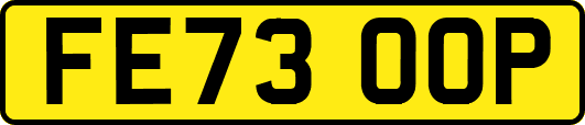 FE73OOP