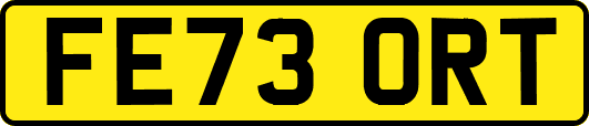 FE73ORT