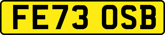 FE73OSB