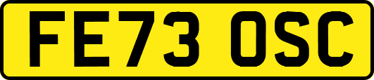 FE73OSC