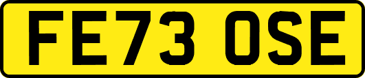 FE73OSE