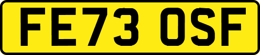 FE73OSF