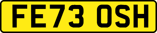 FE73OSH
