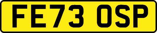 FE73OSP