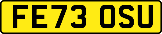 FE73OSU