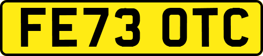 FE73OTC