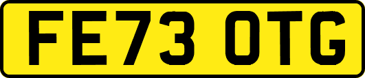 FE73OTG