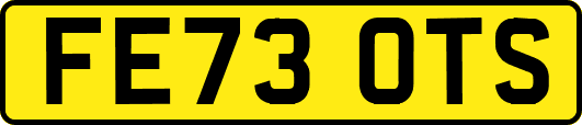FE73OTS