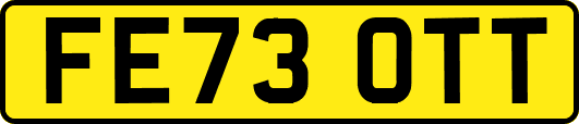 FE73OTT