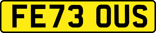 FE73OUS
