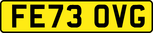 FE73OVG