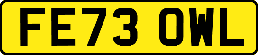FE73OWL