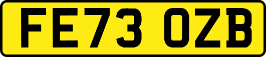 FE73OZB