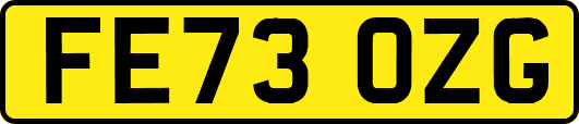 FE73OZG