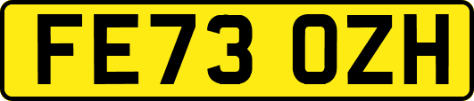 FE73OZH