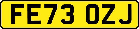 FE73OZJ