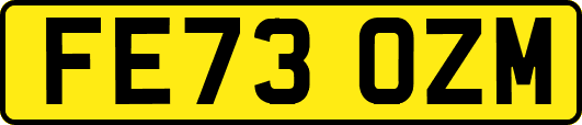 FE73OZM