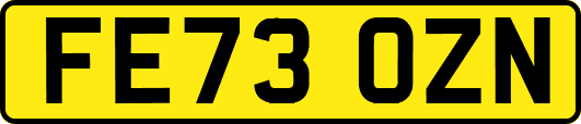 FE73OZN