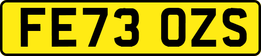 FE73OZS