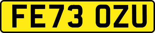 FE73OZU