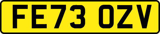 FE73OZV