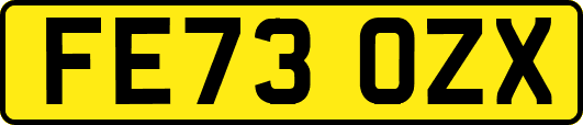 FE73OZX