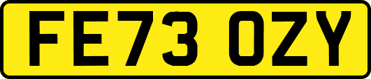 FE73OZY