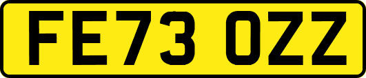 FE73OZZ
