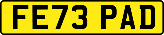 FE73PAD