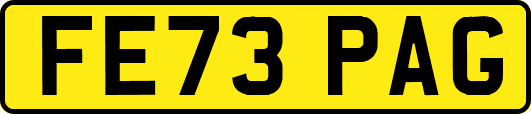 FE73PAG