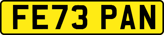 FE73PAN