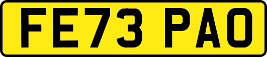 FE73PAO