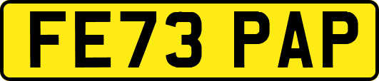FE73PAP