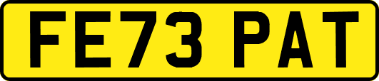 FE73PAT