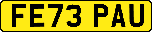 FE73PAU