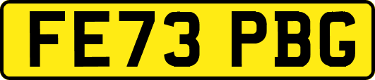 FE73PBG