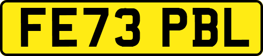 FE73PBL