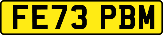 FE73PBM